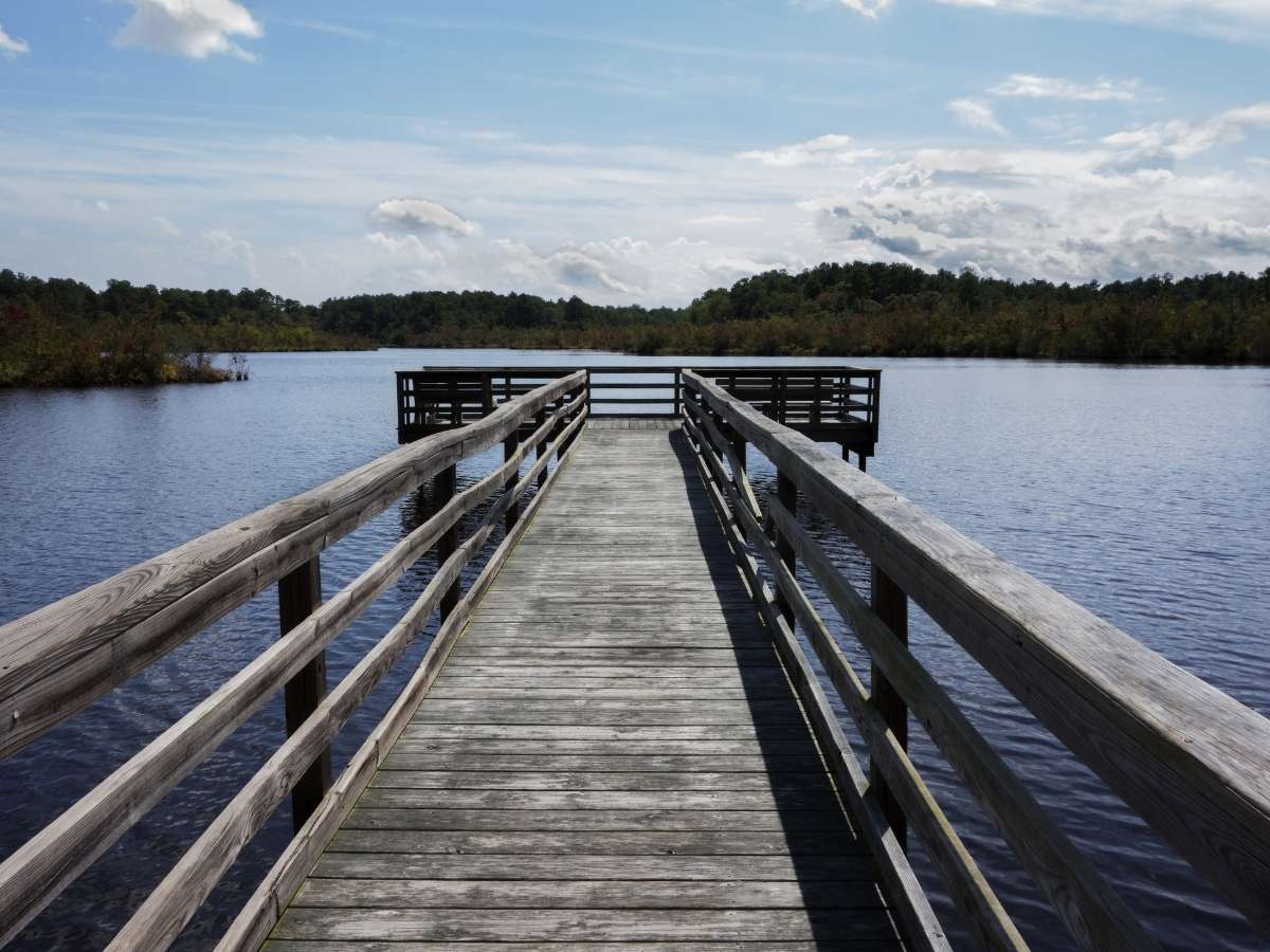 Wood dock at Prime Hook National Wildlife Refuge in Milton DE