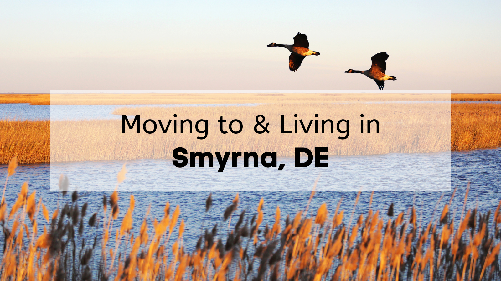 Guide to living in Smyrna DE