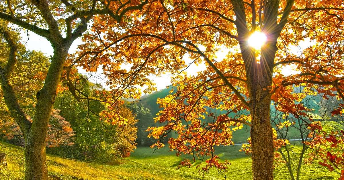 Mt. Cuba Center in Hockessin in the fall at sunset