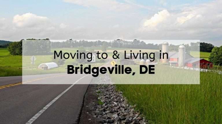 Scenic rural road leading to farmland with silos, barns, and open fields near Bridgeville, DE.
