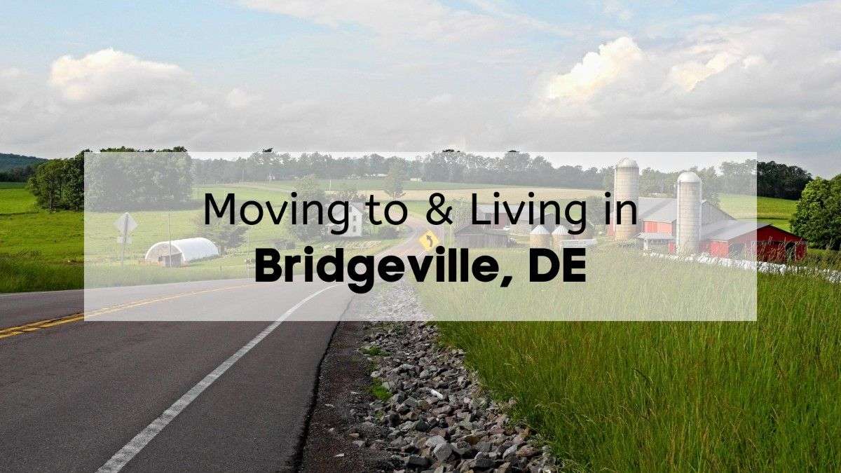 Scenic rural road leading to farmland with silos, barns, and open fields near Bridgeville, DE.