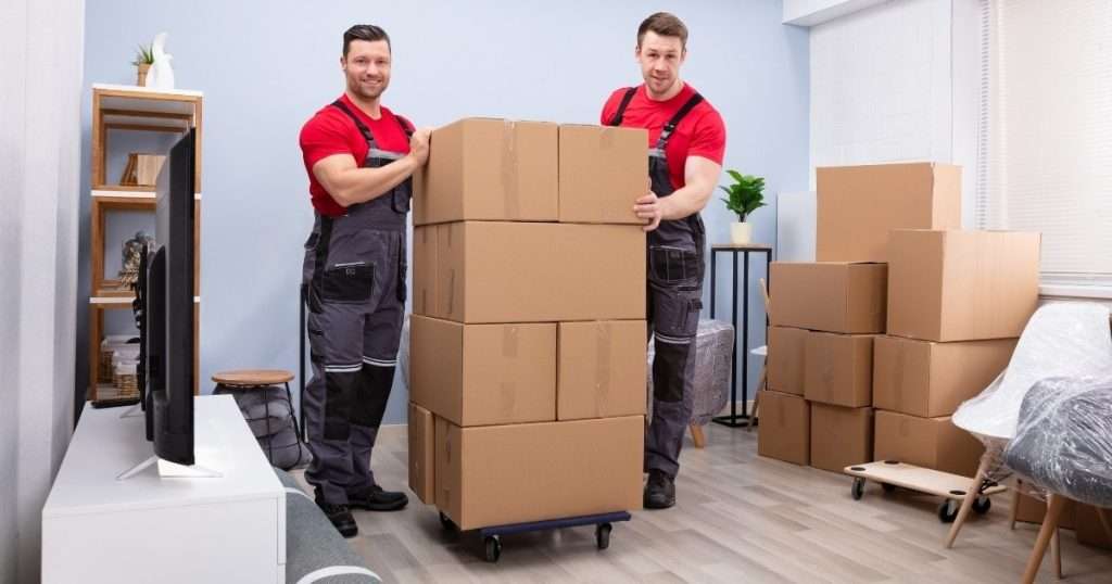 Two professionals with a Harrington DE moving company posing with stacked boxes